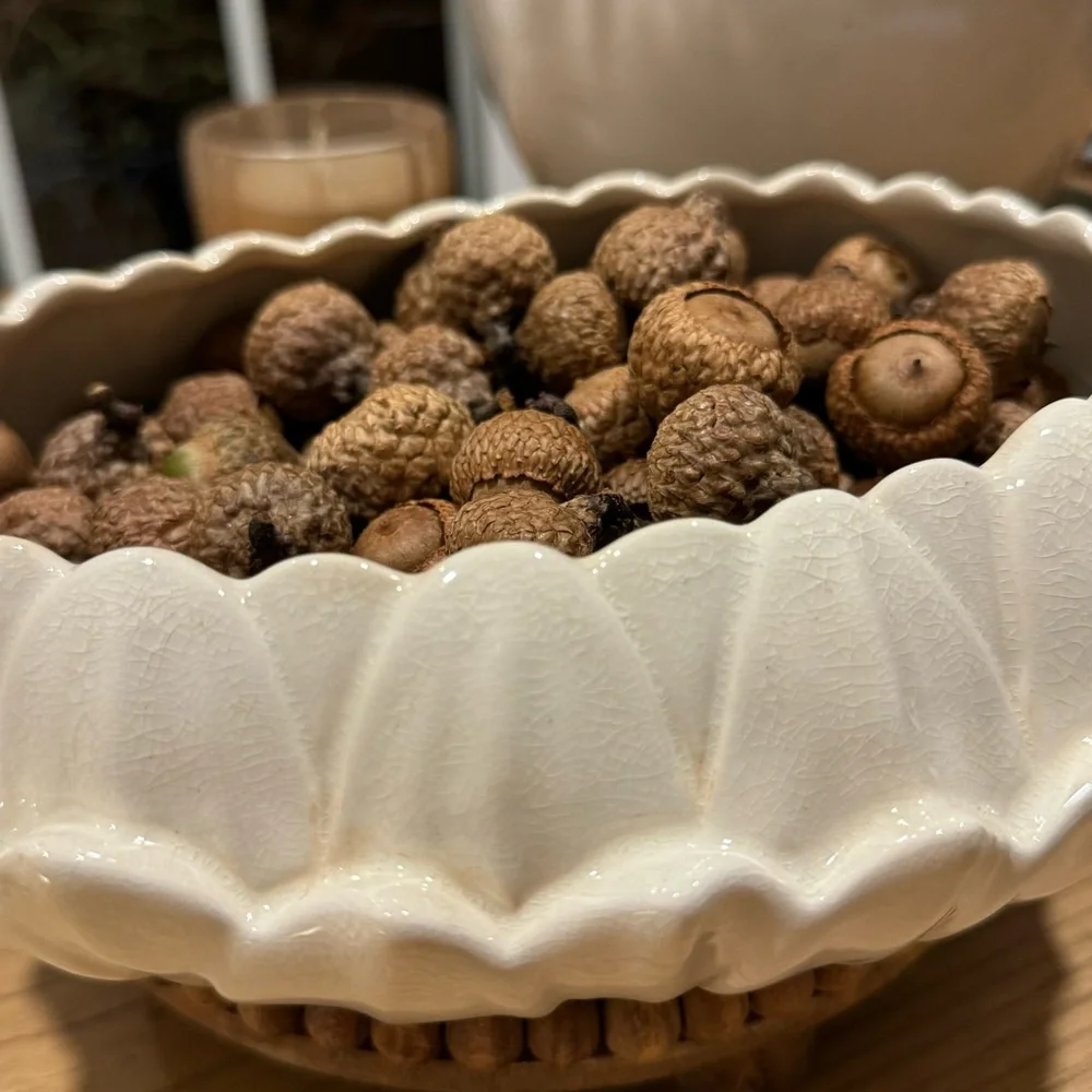 Spode vintage velamour
